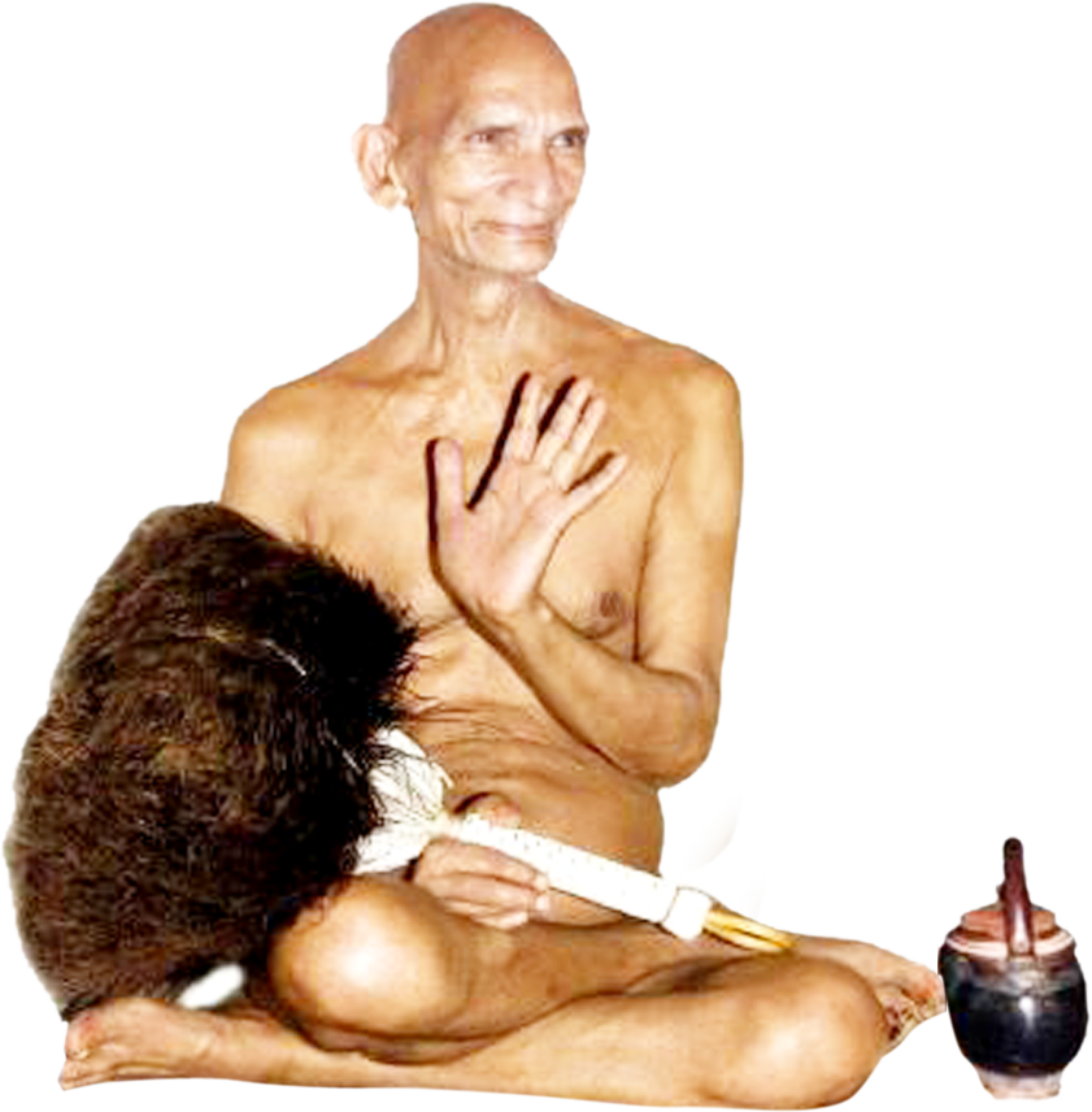 तपस्वी सम्राट आचार्य श्री सन्मति सागर जी महाराज