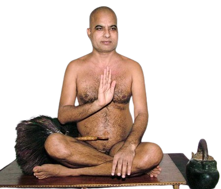 गणाचार्य गुरुदेव श्री विरागसागर जी महाराज